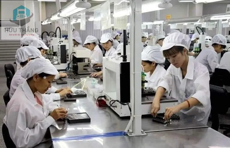 Dịch vụ cho thuê lao động