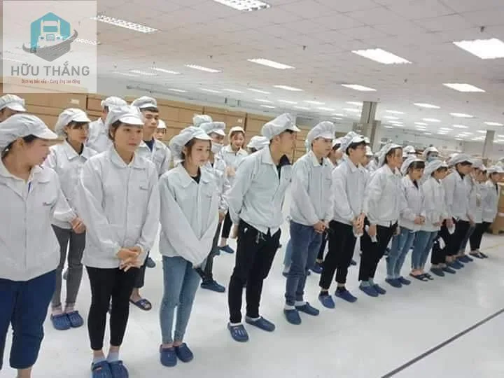 Cung ứng lao động quận 4